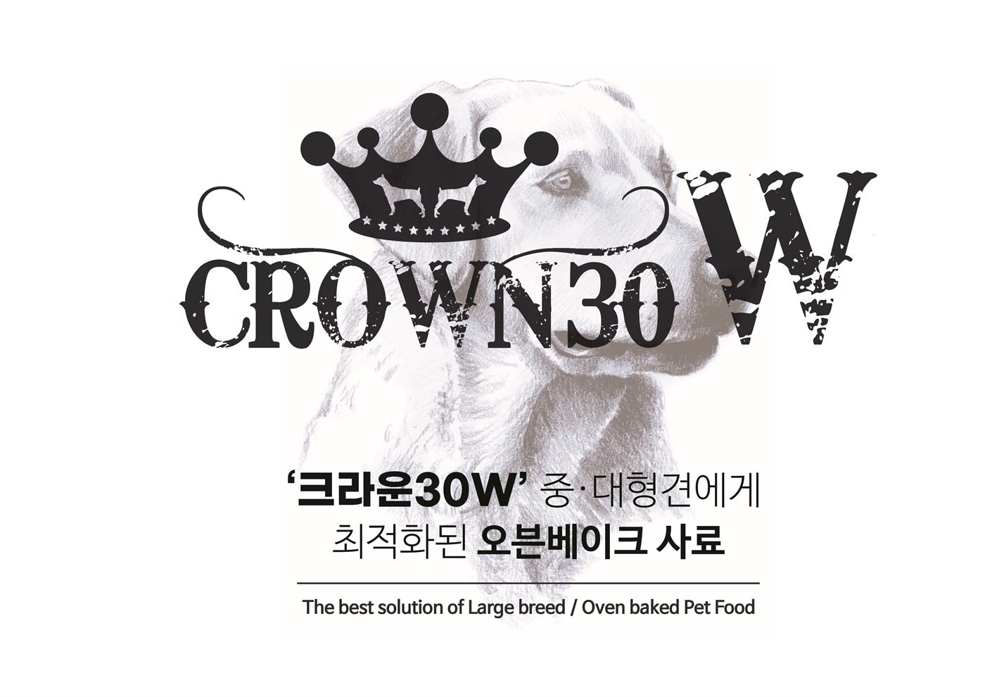 크라운30W 배너